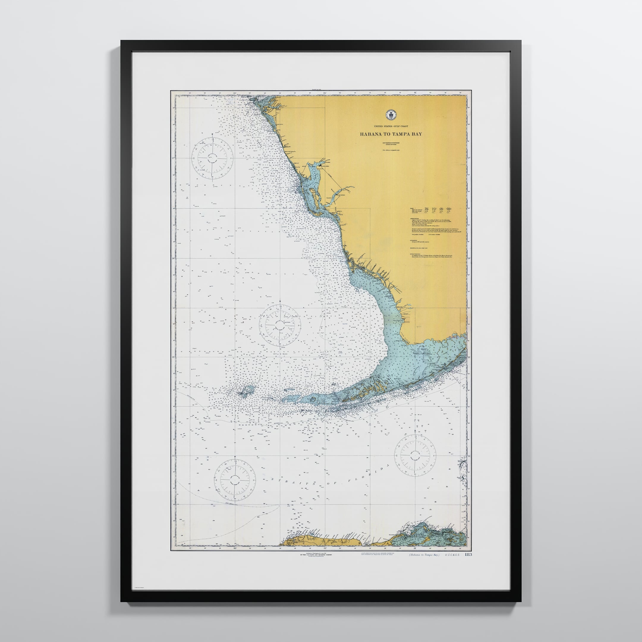 Habana to Tampa Bay, 1916